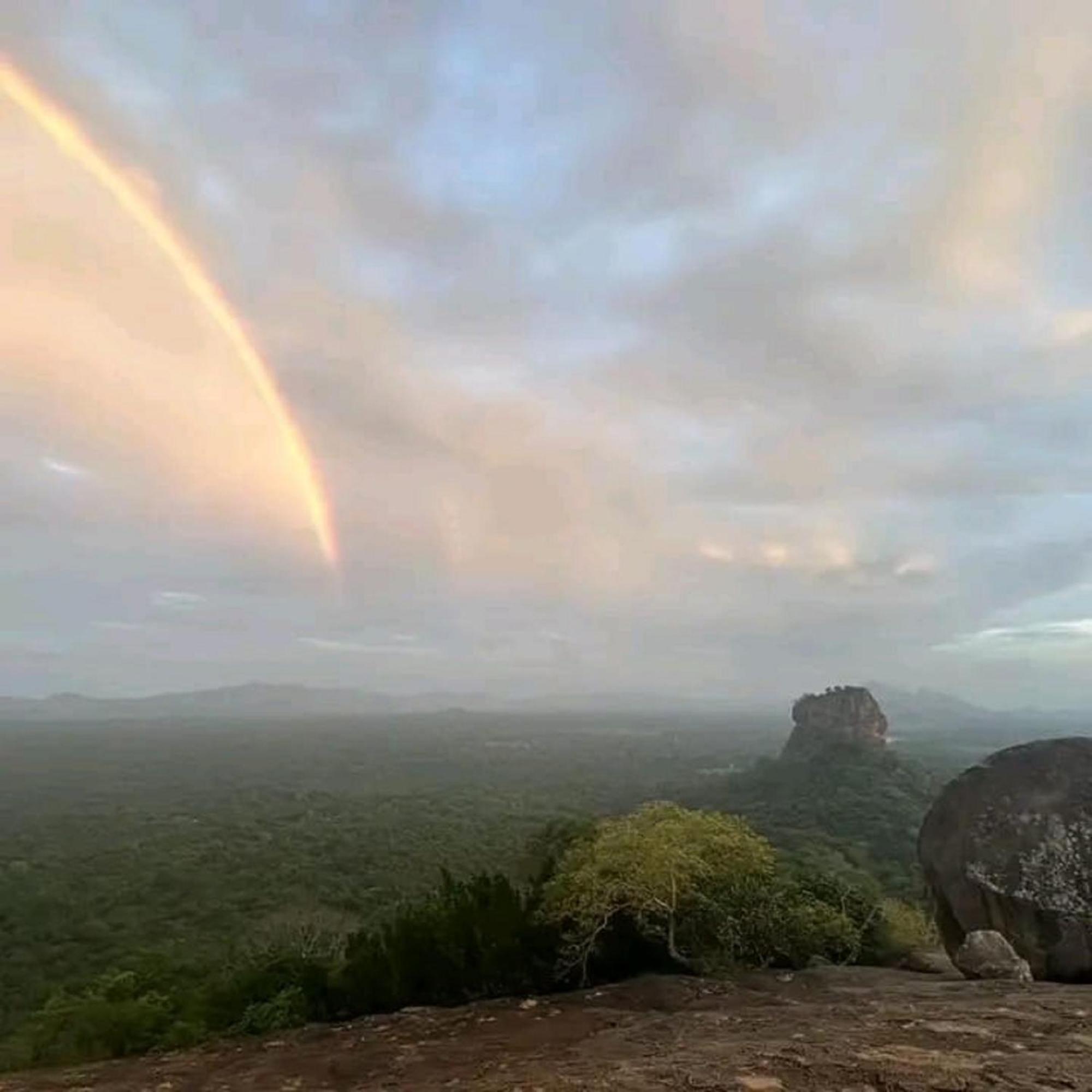 Sigiri Birds Hostel Sigiriya Luaran gambar