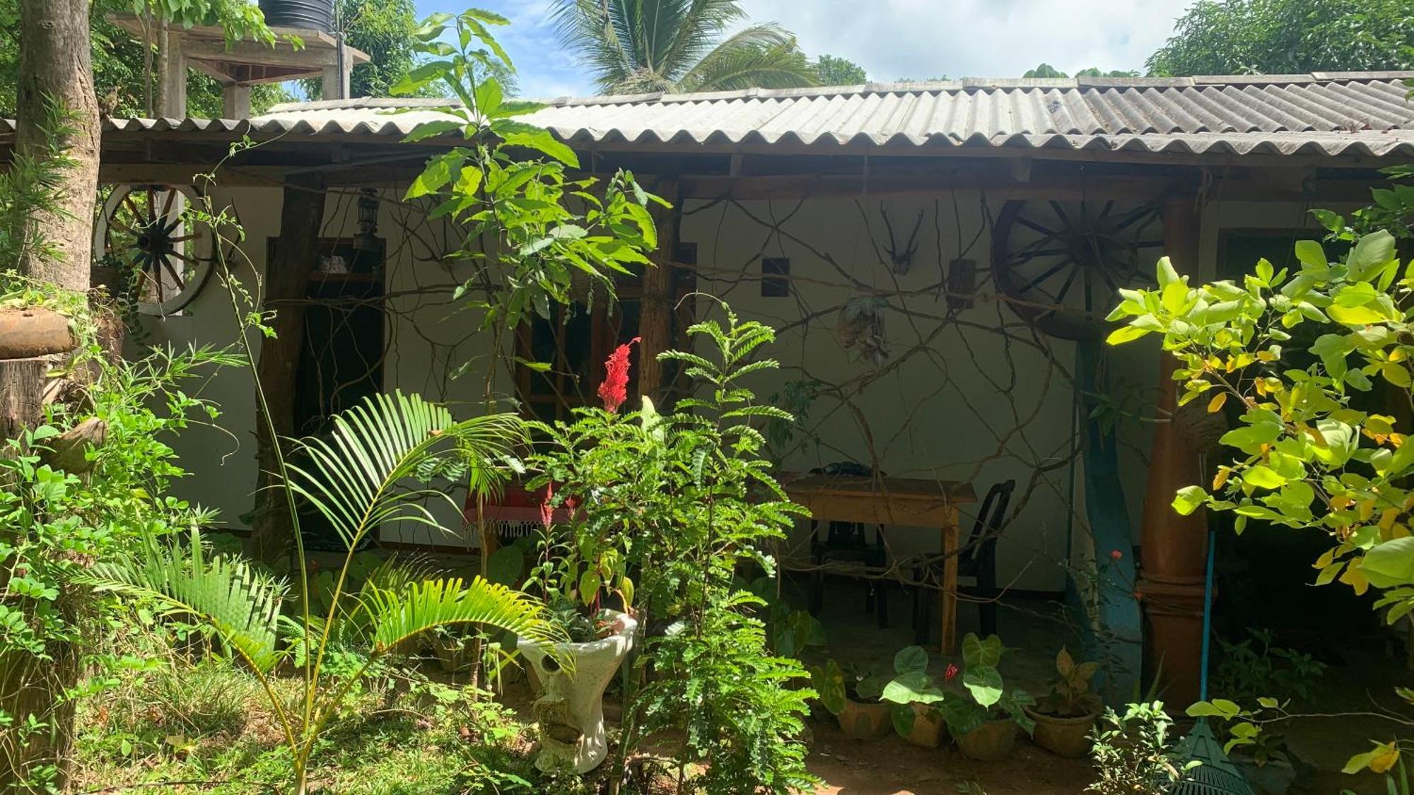 Sigiri Birds Hostel Sigiriya Luaran gambar